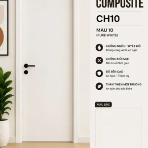 Cửa Composite CH10