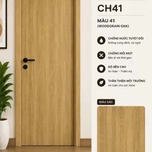 Cửa Composite CH41