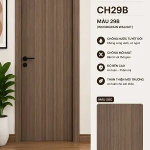 Cửa Composite CH29B